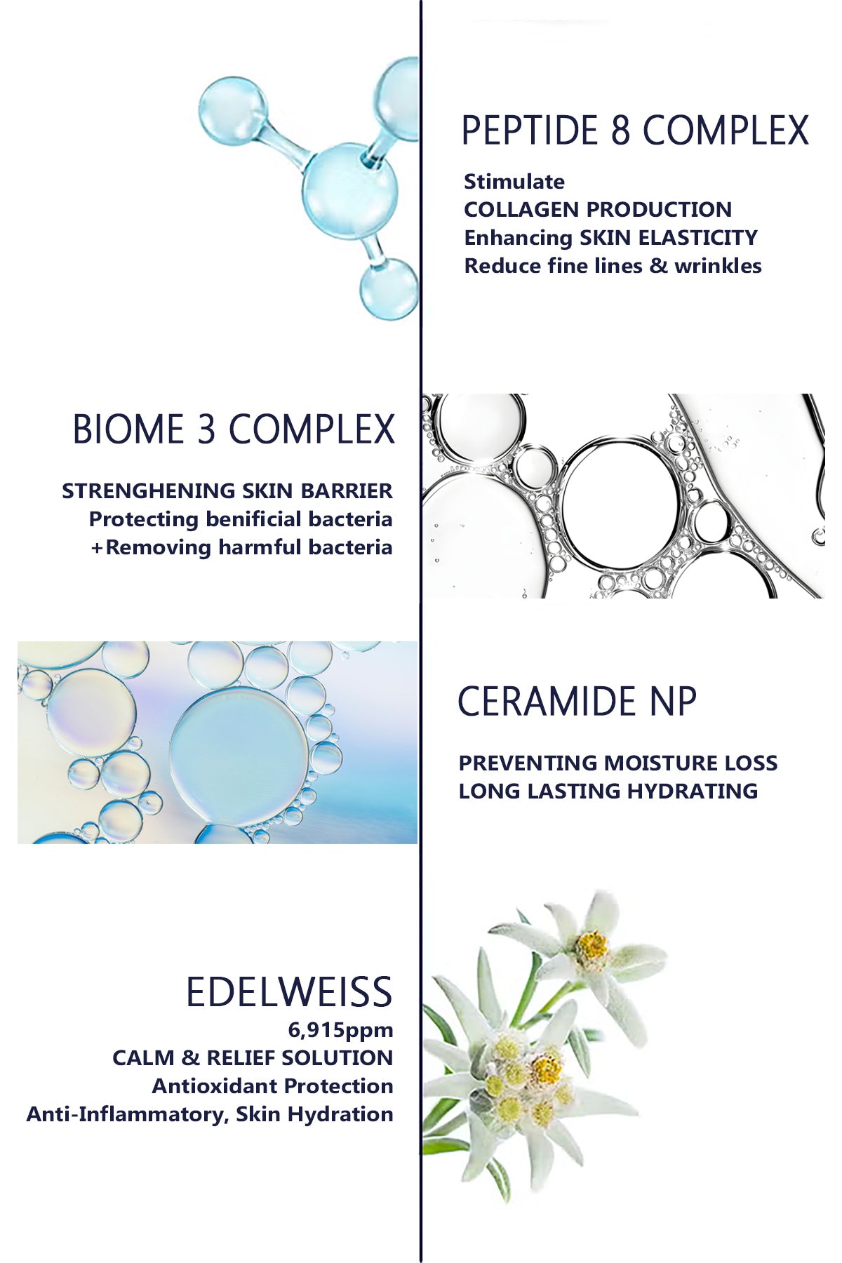 DOCTOB Pepta-Biome Antioxidant Vegan Cream 50ml/1.69 oz – Anti-Aging, Hydration & Skin Repair with Edelweiss Extract, 8 Peptides, 3 Types of Biome & Ceramide NP