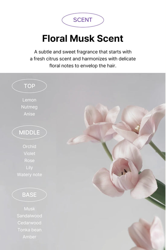 Dr. Oracle Scalp Pore Control Shampoo – Deep Cleansing & Scalp Renewal with PDRN, Plant Proteins & Peptides (380ml / 12.85 fl.oz)