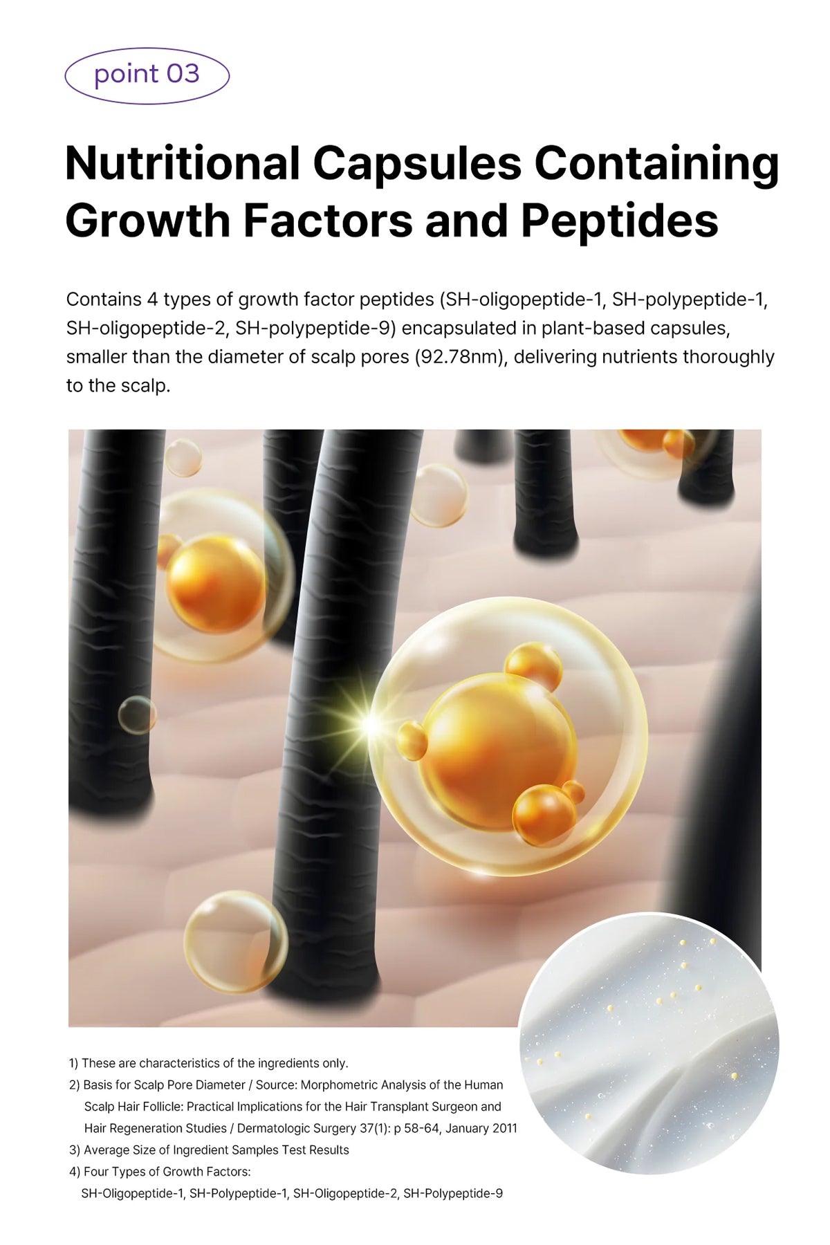 Dr. Oracle Scalp Pore Control Shampoo – Deep Cleansing & Scalp Renewal with PDRN, Plant Proteins & Peptides (380ml / 12.85 fl.oz)