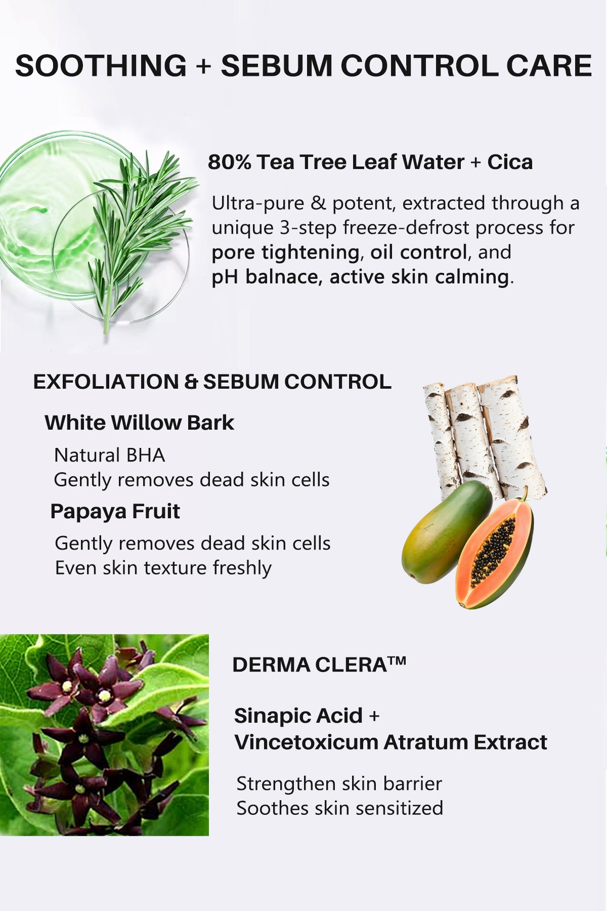 Thelavicos Tea Tree Cica 80 Toner 300ml/10.14 fl.oz | Your Daily pH-Balanced Ritual for Soothed, Clear Skin